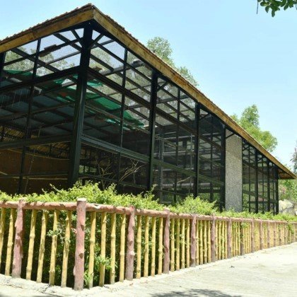 Gulab Bagh